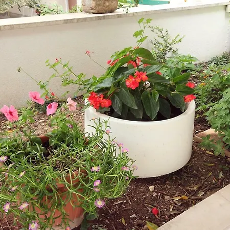 Appartement Luka *